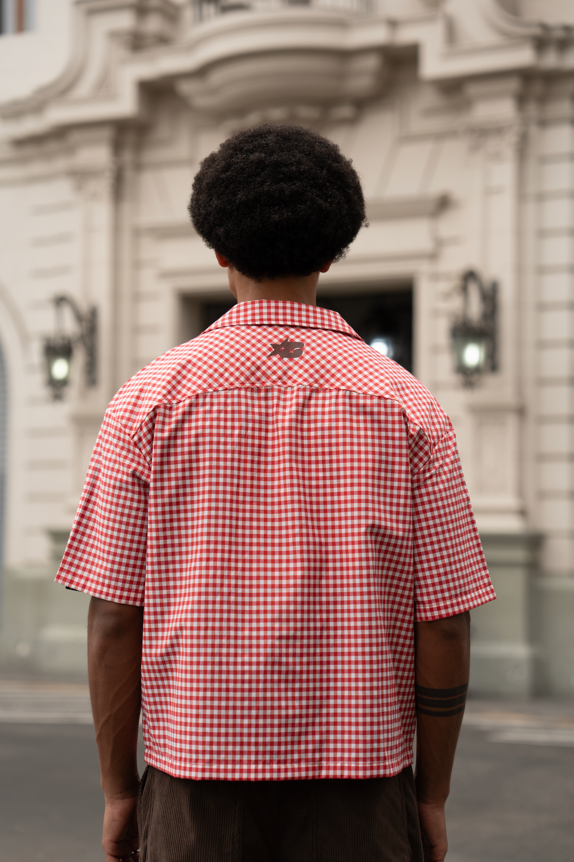 SHIRT REX