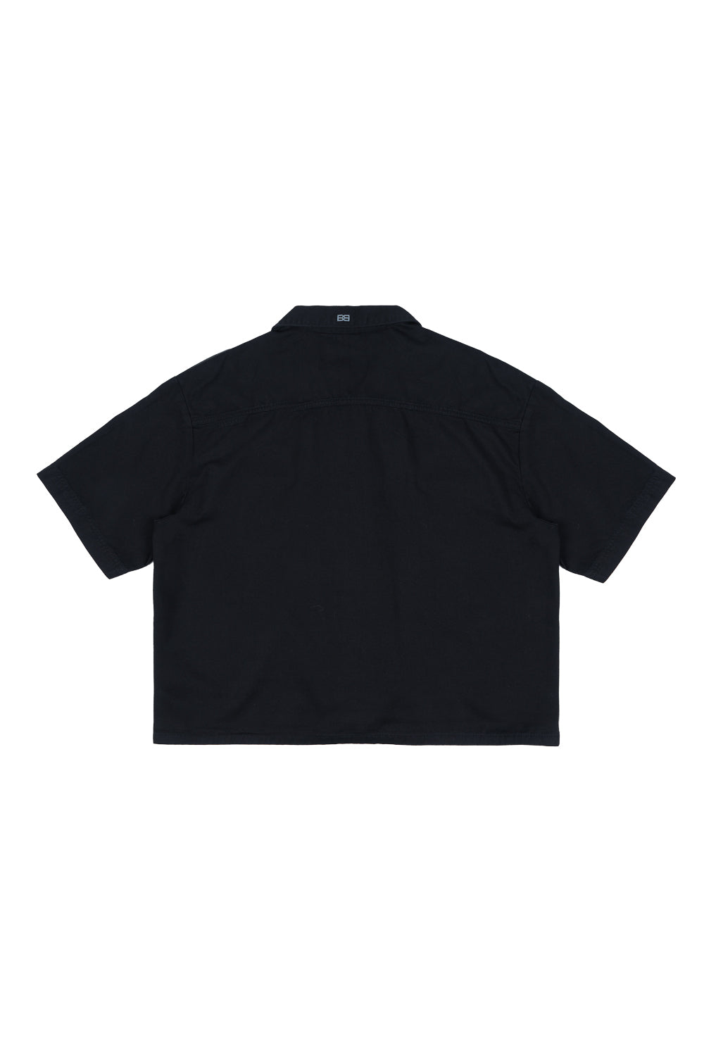 SHIRT WILD RAY